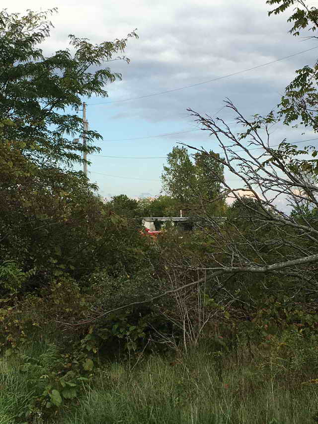 North Twin Drive-In - 2016 Photo